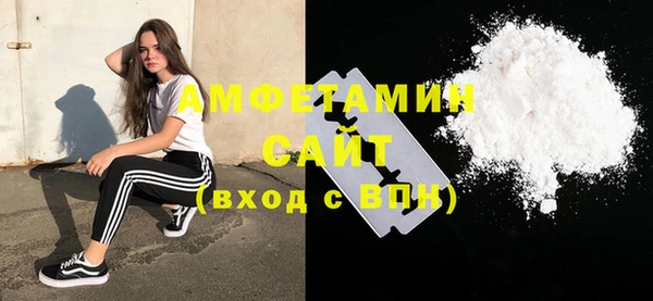 хмурый Алексин