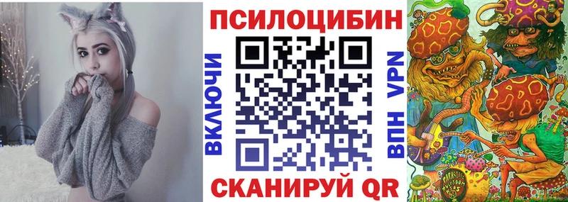 Галлюциногенные грибы Psilocybe  Усть-Катав 